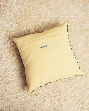 Big Raspberry Pillow
