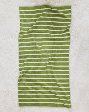 Bird Stripe Collection Bundle