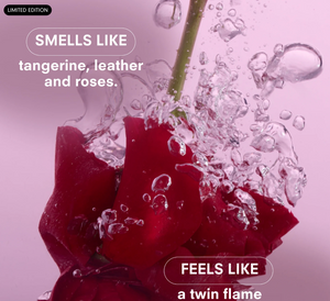 Essentials Quad Gift Set